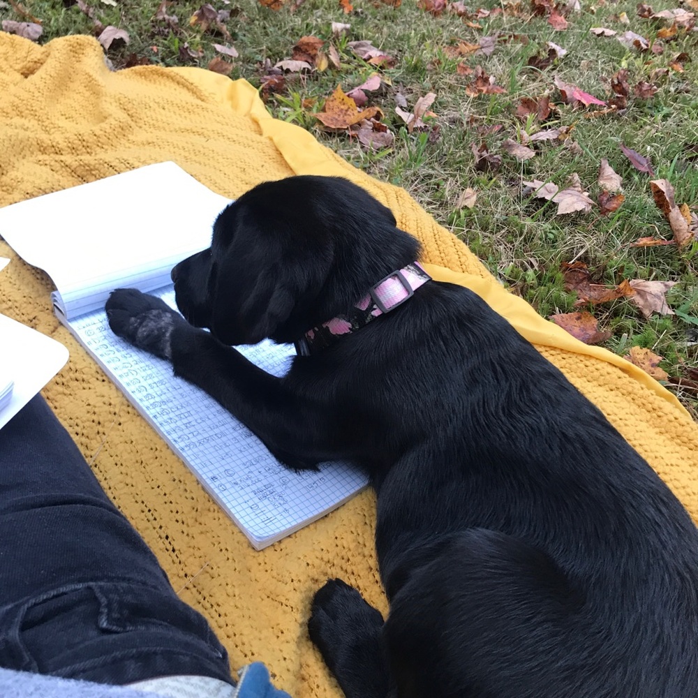 Meet your Posher, Ashley